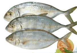 Jesh Fish: A Complete Guide To Taste, Nutrition, And Cooking